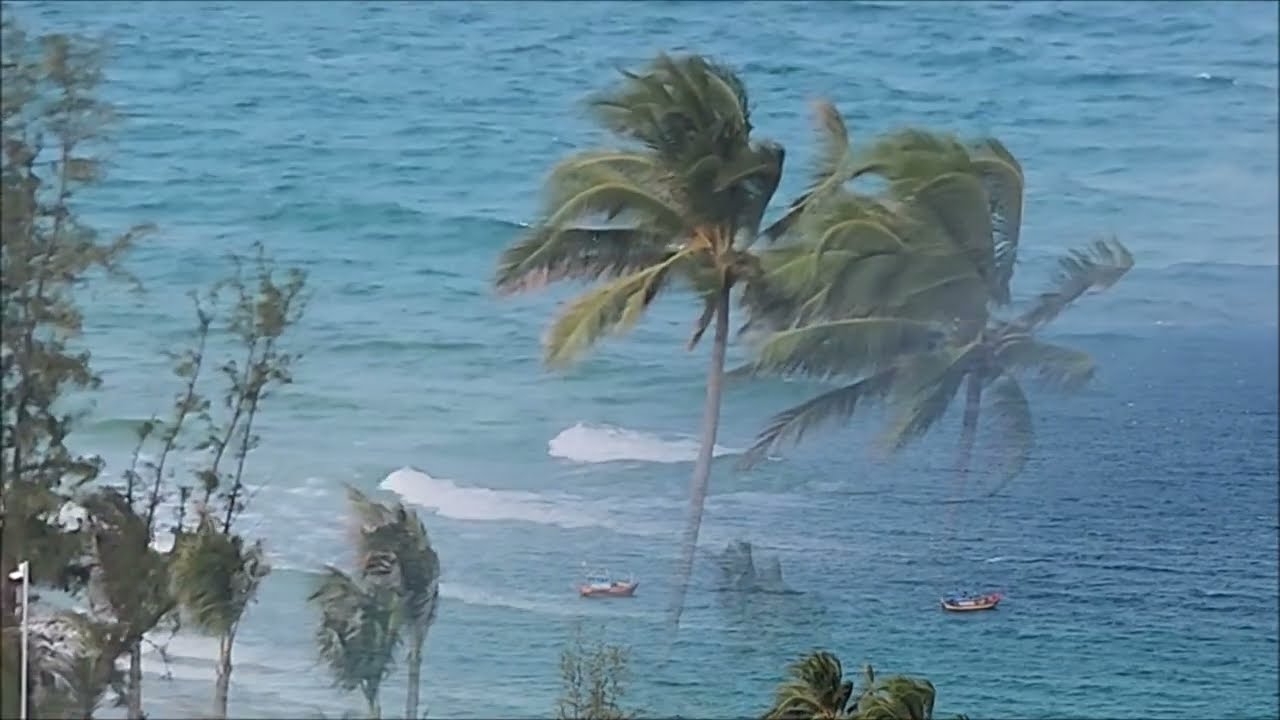 Vĩnh Biệt Tình Hè