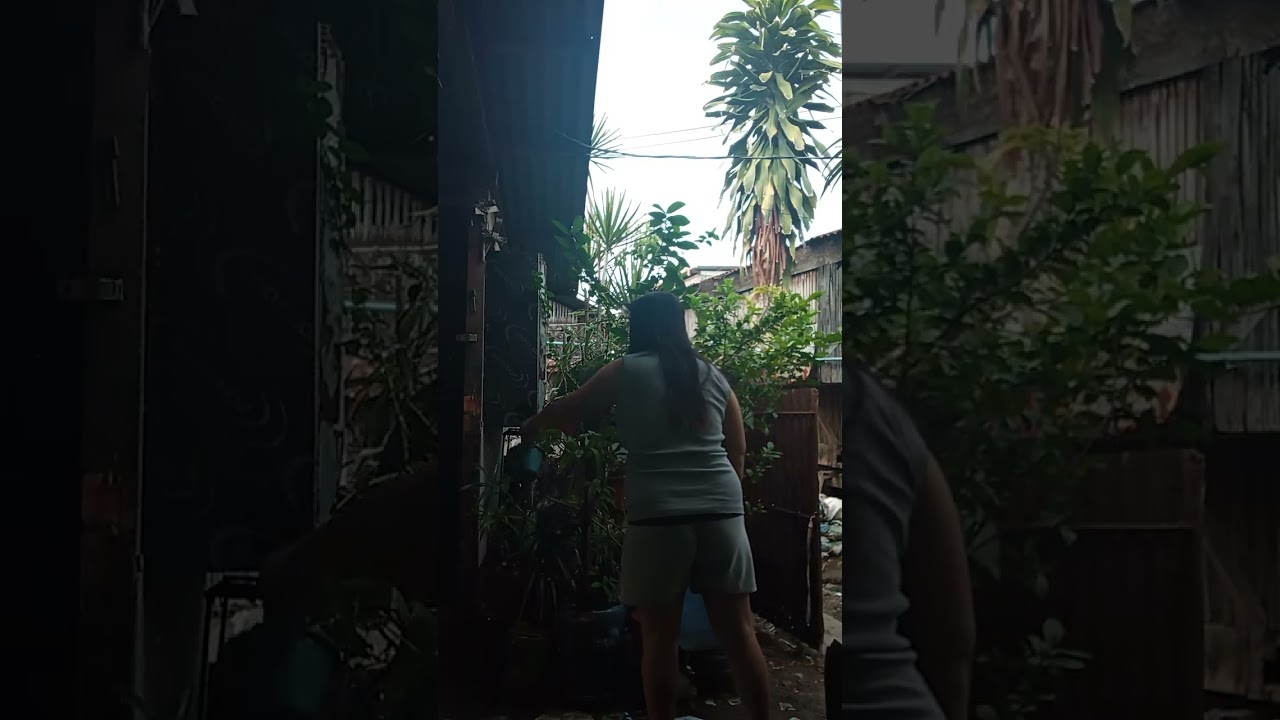Watering the plants 🌵