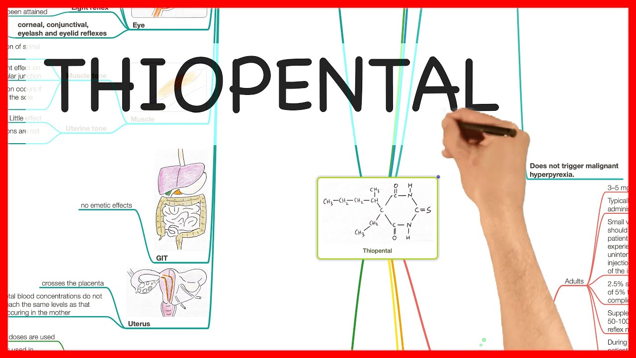 THIOPENTAL- PHARMACOLOGY SERIES