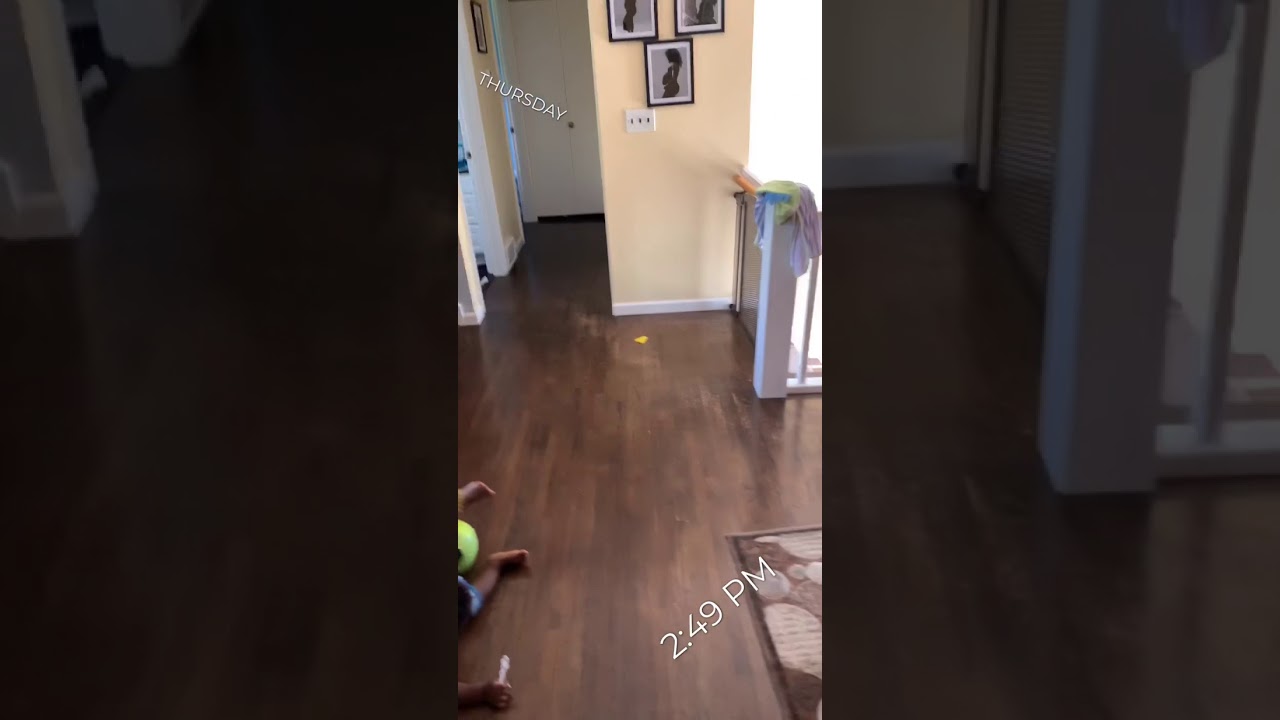 A  skillful 20 months old toddler