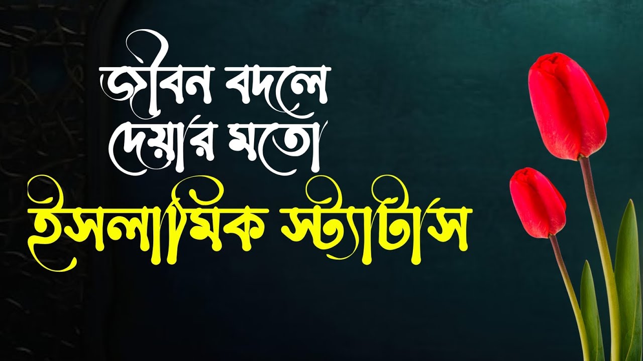ইসলামিক স্ট্যটাস ২০২৪ || New Islamic Status Bangla