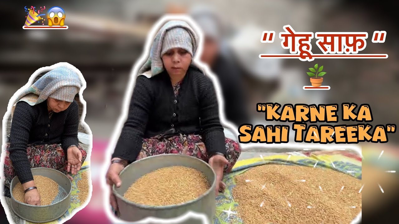 Mummy BANI देसी ~बीमार  Ho Gayi 😔 Phir Bhi Kiya Itna Kaam | Gehu Saaf Karne Ka Tarika 🌾|| NIAMI VLOG