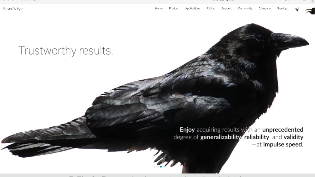 Raven's Eye: Logging In