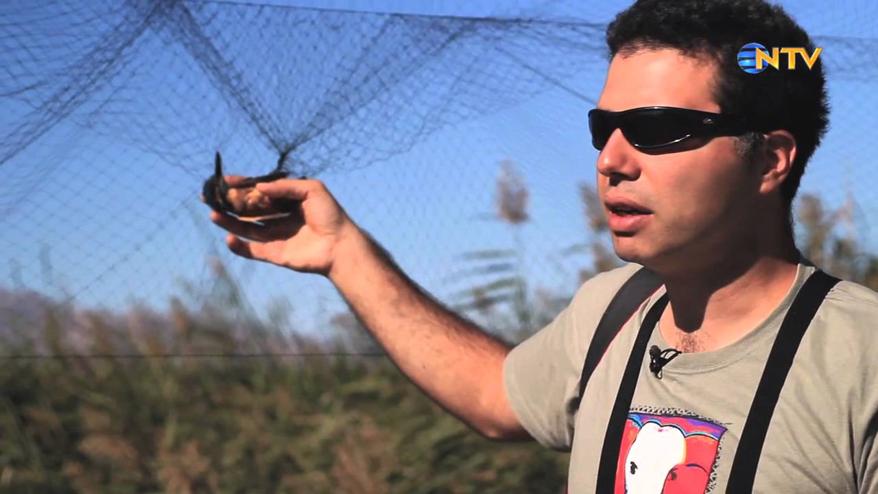 NTV KASIF HD - ARAS KUS CENNETI VE KUYUCUK GOLU KUS GOCU