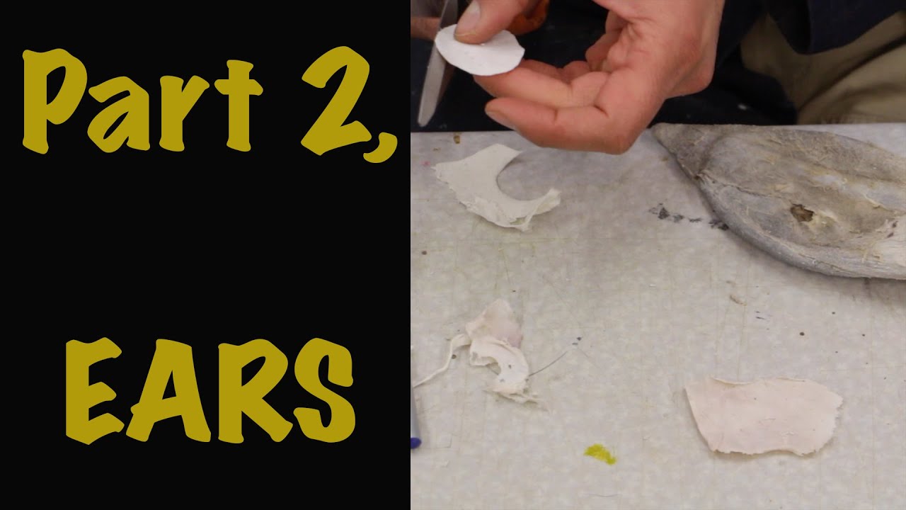 How to fit earliners, how to repair ears, Red Stag, Art of Taxidermy.