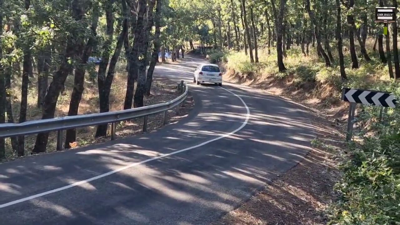 VI RALLYSPRINT TALAVERA 2024
