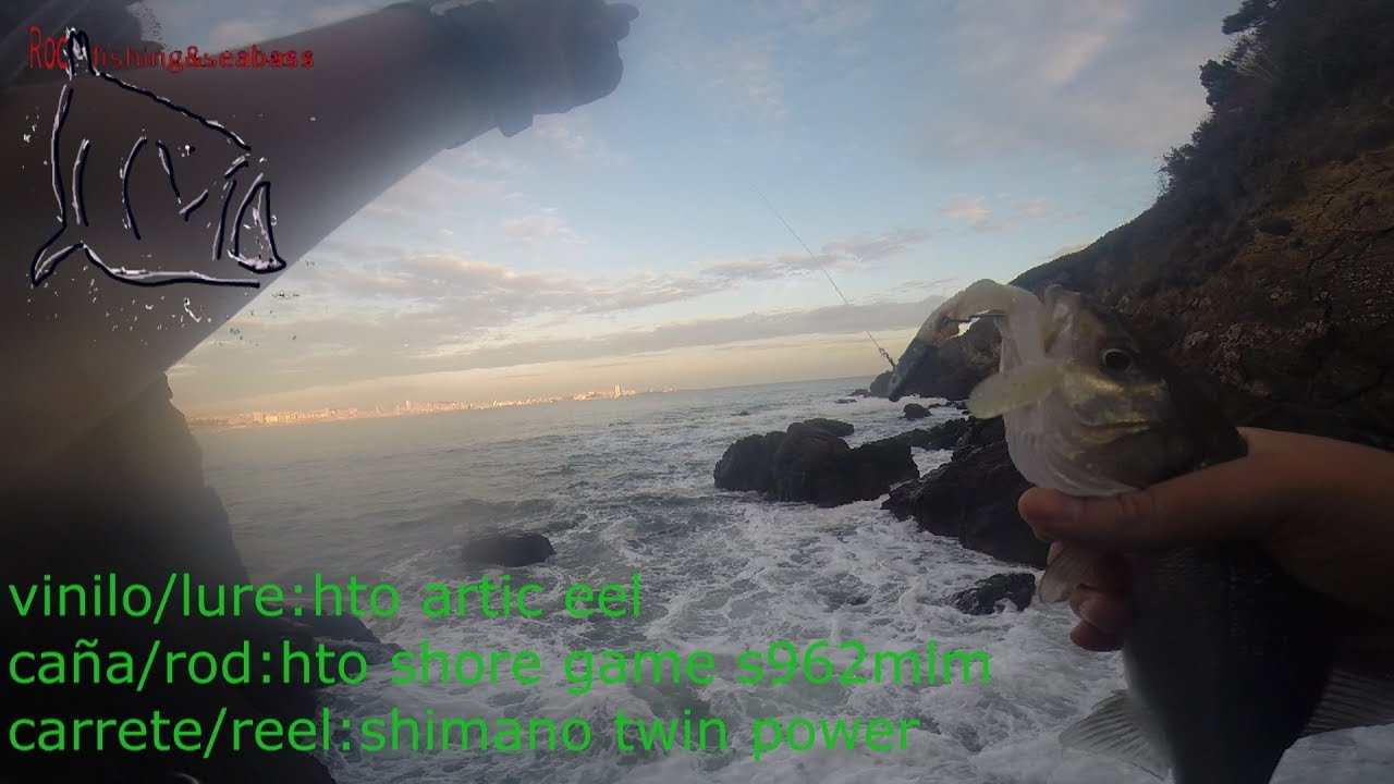 Light spinning. Hto artic eel