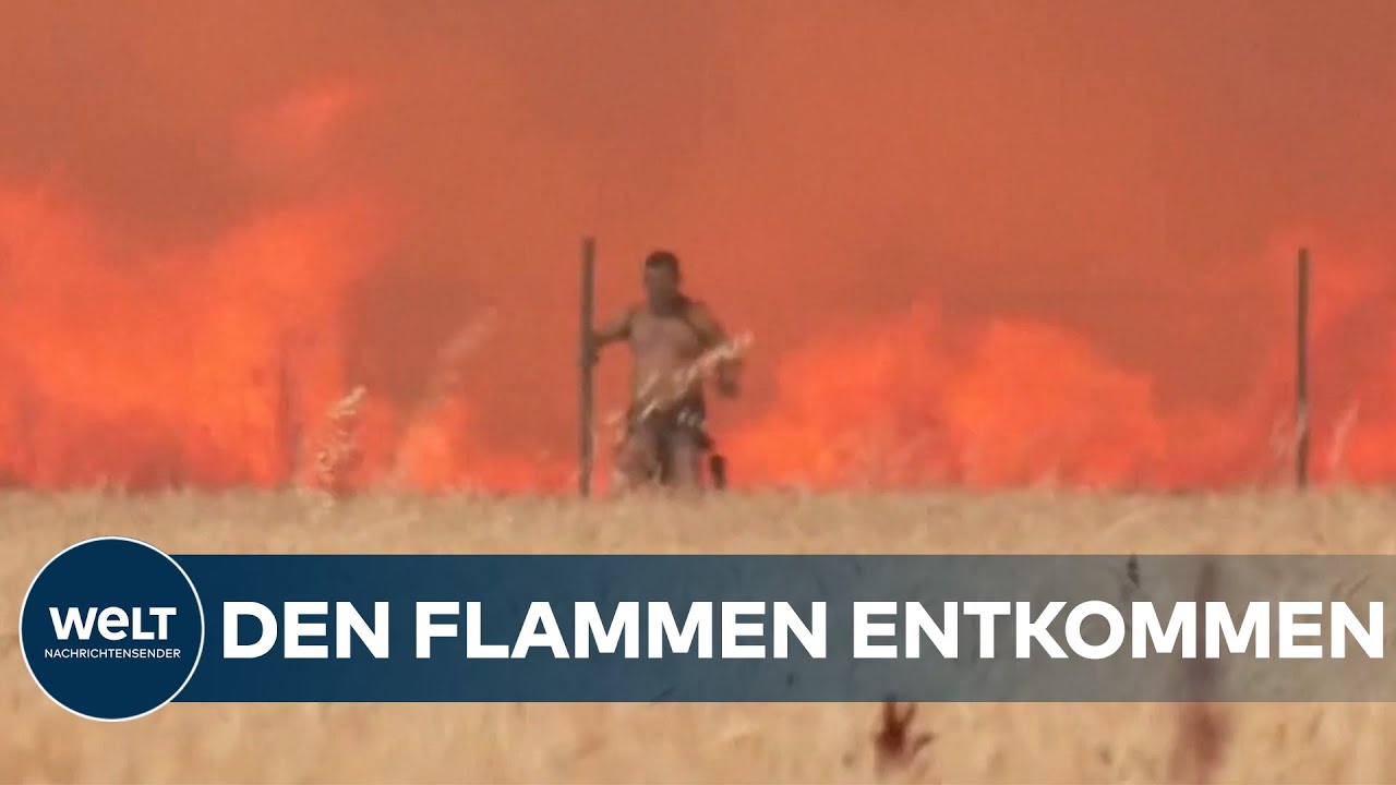 DRAMATISCHER KAMPF GEGEN FLAMMEN: Spanier verzweifeln an der unb&auml;ndigen Feuerwalze