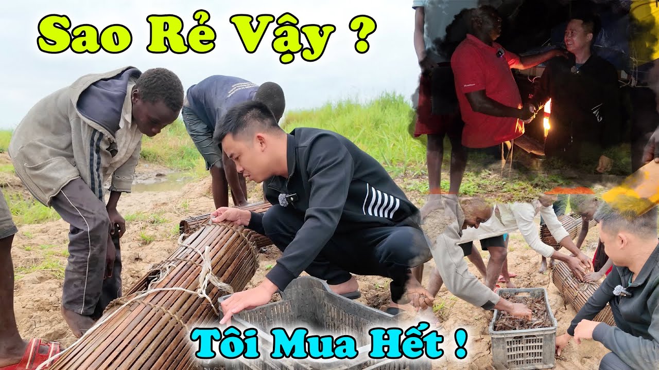 Bất Ngờ Trước Giá Tôm Sông ? Vì Sao Bác Trưởng CA Huyện Lại Về Trước ? Hành Trình Quý Giá
