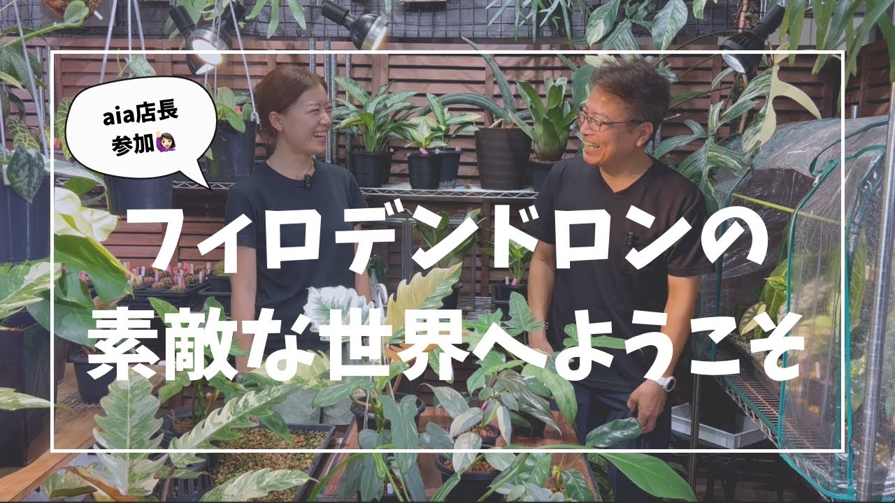 フィロデンドロンの素敵な世界へようこそ!!