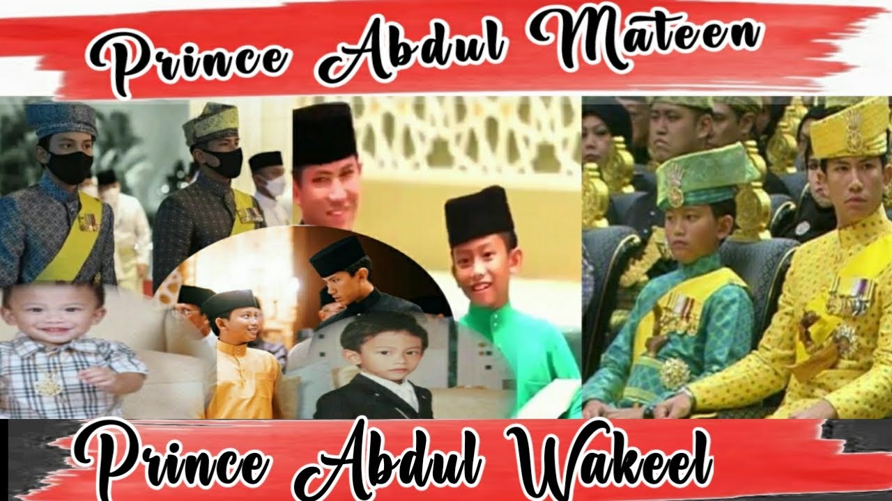 Prince Abdul Mateen and prince Abdul Wakeel||prince Brunei
