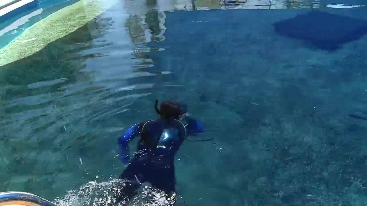St. Augustine Aquarium