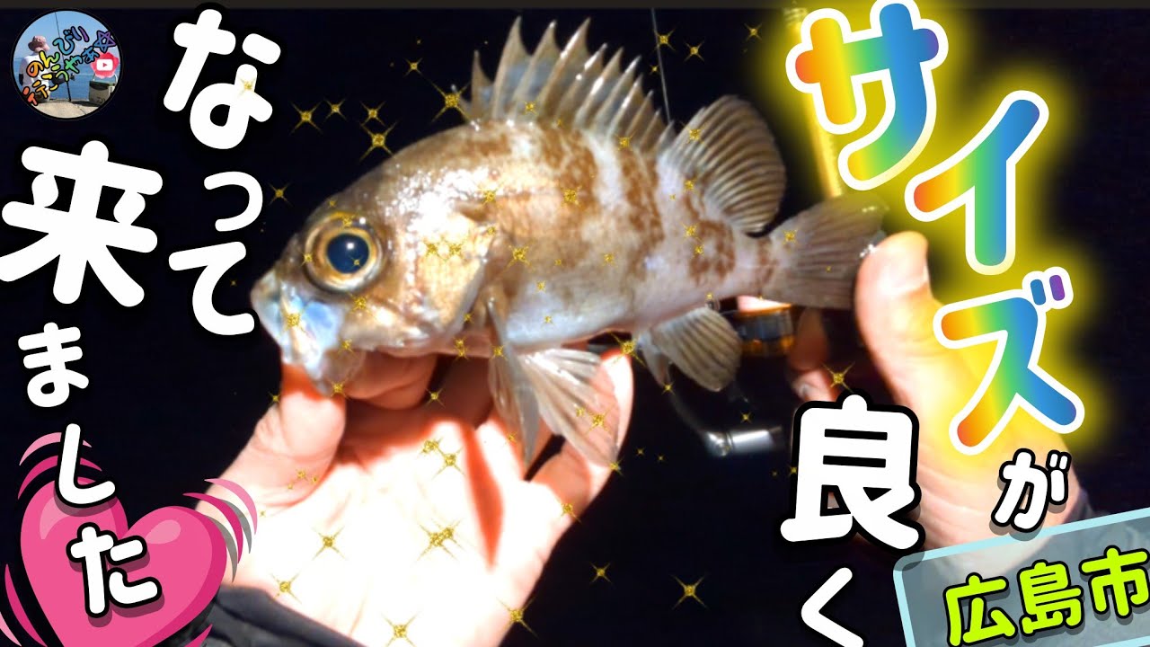 1月下旬釣行🎣メバルが釣れると言うポイントで初めてメバリングやってみたら､良いサイズが釣れました✨