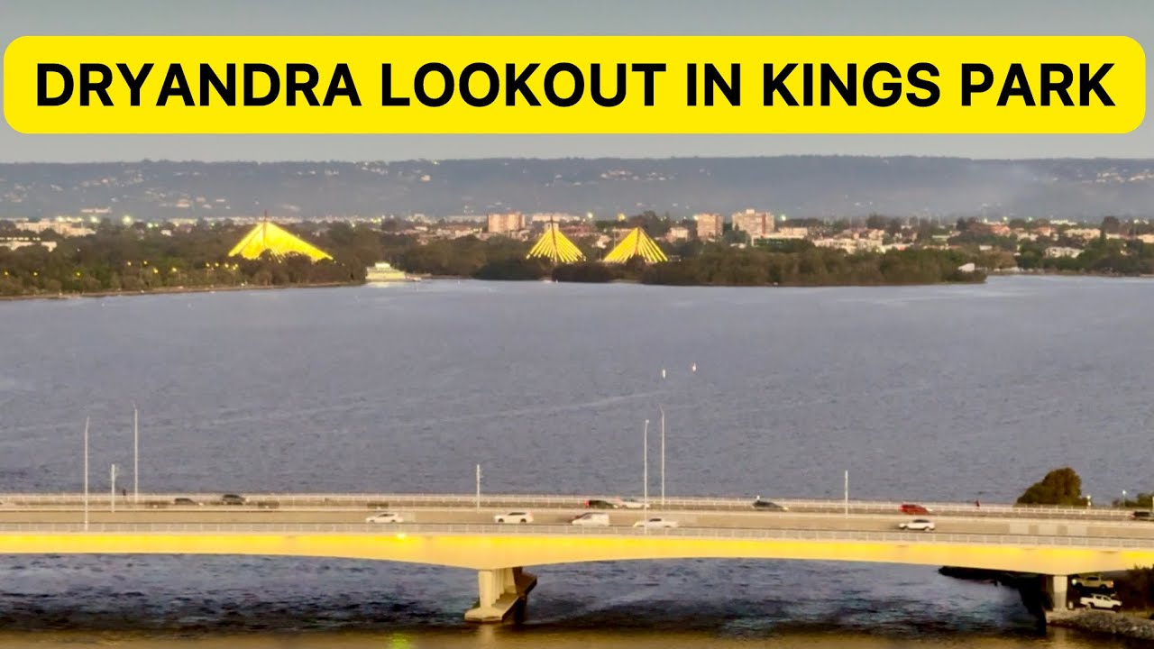 Kings Park Dryandra Lookout | Perth Life and Living WA