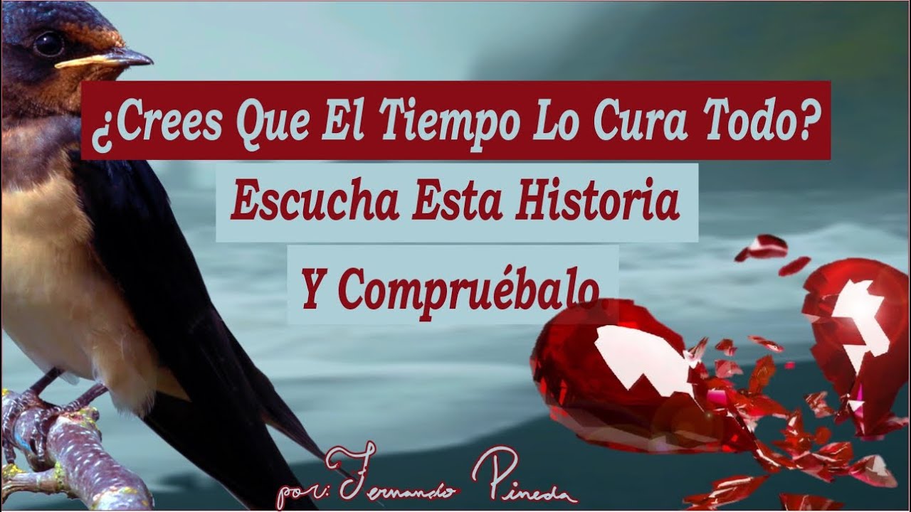 El Corazón De Golondrina, Que El Tiempo No Curaba - Reflexión de Crecimiento Personal