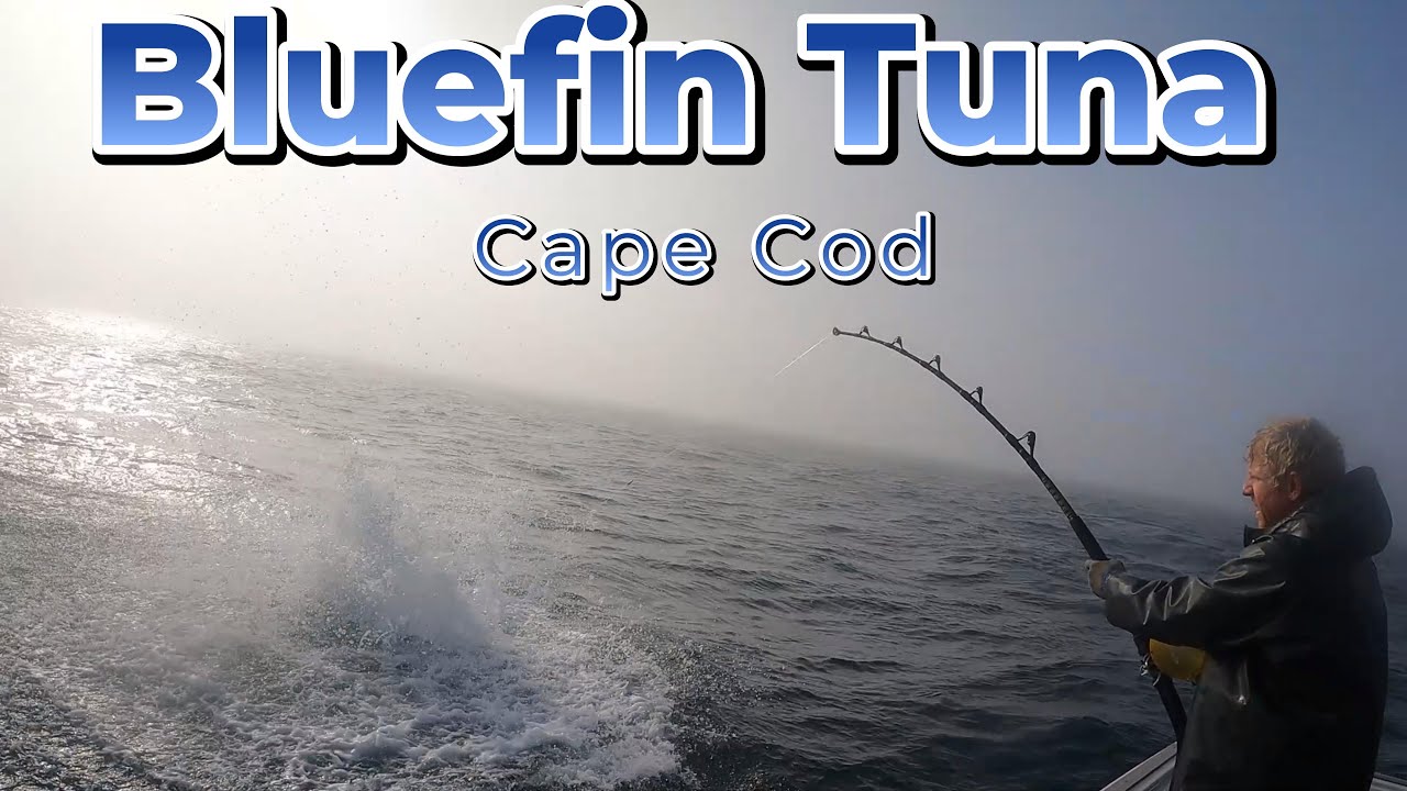 Giant Bluefin Tuna fishing off Cape Cod