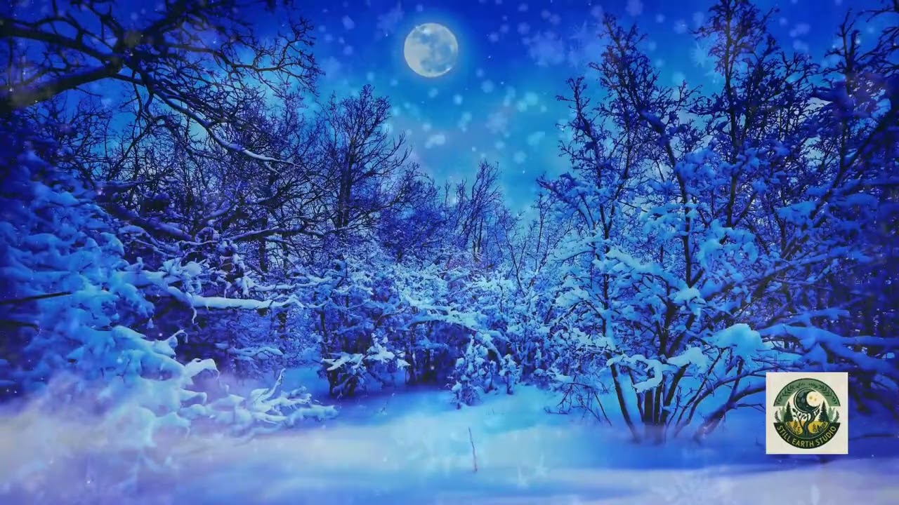 Quiet Snowy Forest ❄️🌲 | 1 Hour Silent Winter Ambience | No Sound, Calm Visuals