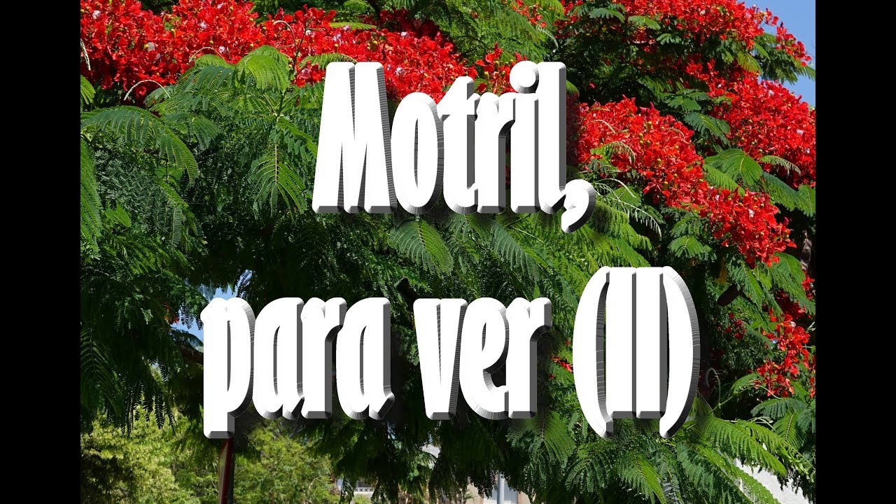 Motril, para ver (II)