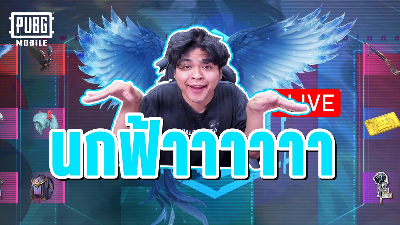 สุ่มสกินนกน้ำแข็งฟ้า PUBG MOBILE 4.2.0