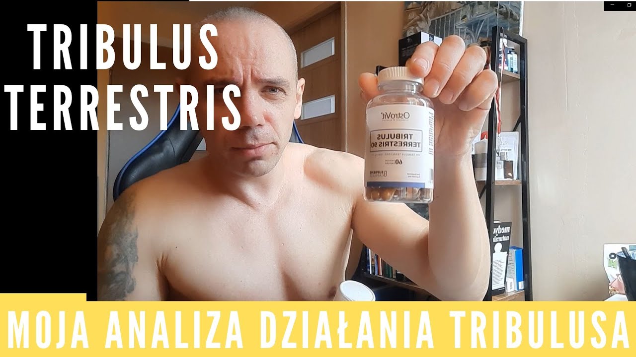 TRIBULUS TERRESTRIS MOJA ANALIZA DZIAŁANIA