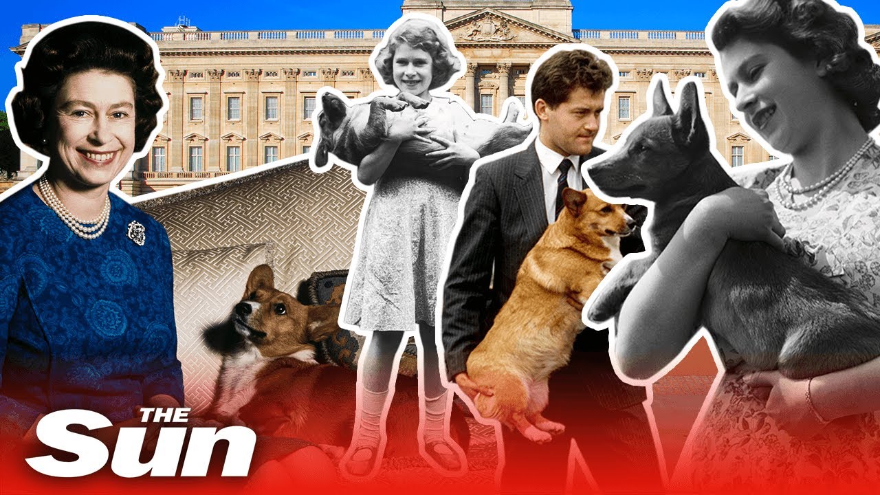 Platinum Jubilee: The Queen's love affair with her Royal corgis