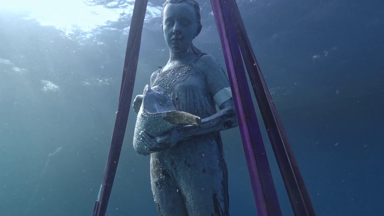 MOUA: The Installation