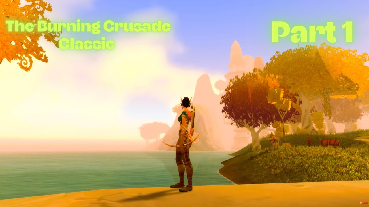 The Burning Crusade Classic - Blood Elf Hunter 1-70