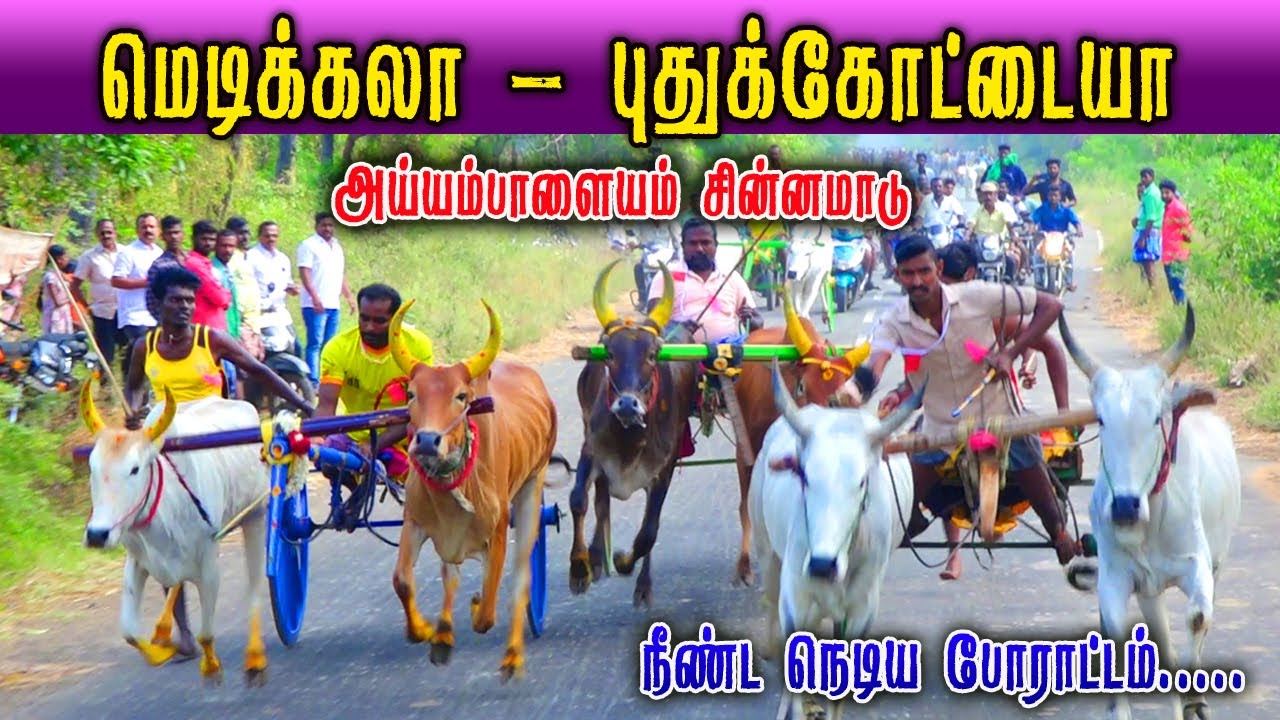 சின்னமாடு - அய்யம்பாளையம் மாட்டுவண்டி பந்தயம் 22.01.2023#rekla_race_2022 #rekalarace