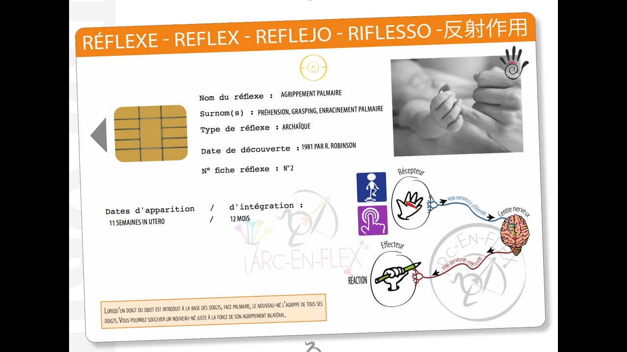 Réflexe Agrippement palmaire -  Zone sensorielle réflexe - Observations basiques Arc-en-flex