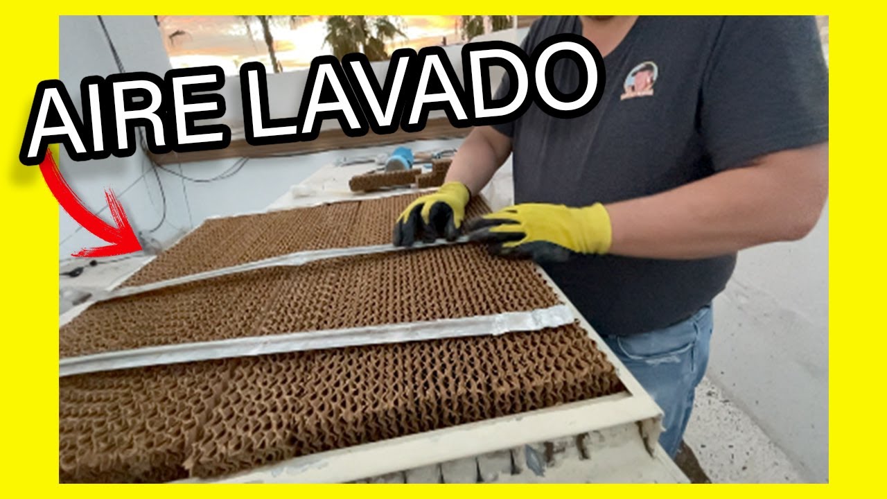 AIRE LAVADO CAMBIO PAJA por CELDEK