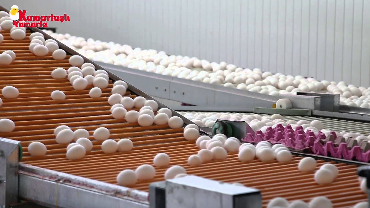 KUMARTAŞLI  YUMURTA TANITIM FİLMİ &  ANADOLU PRODUKSİYON