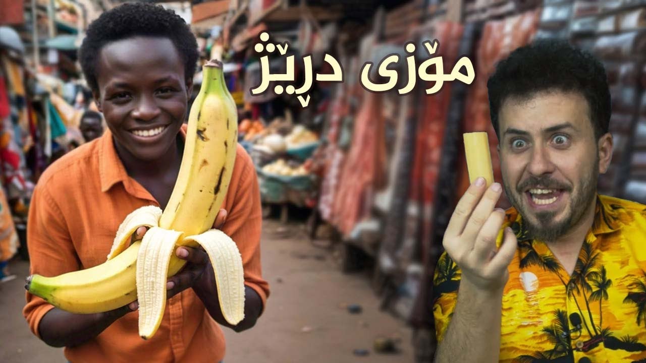 قامیشی شەكرم هێناوە