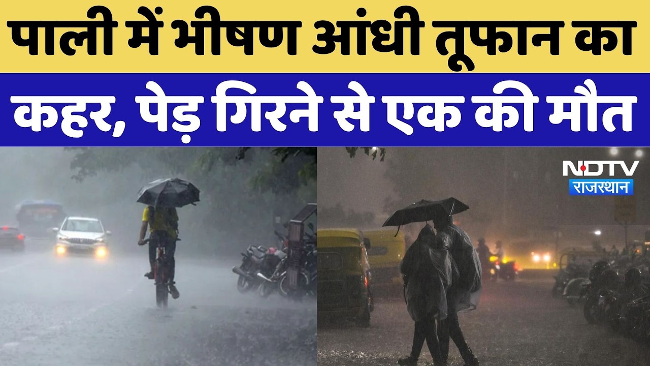 Heavy Rain Alert: पाली में भीषण आंधी तूफान का कहर, पेड़ गिरने से एक की मौत | Top News |Monsoon Alert