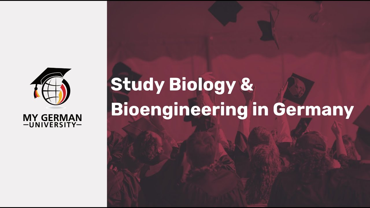 Study Biology & Bioengineering in Germany