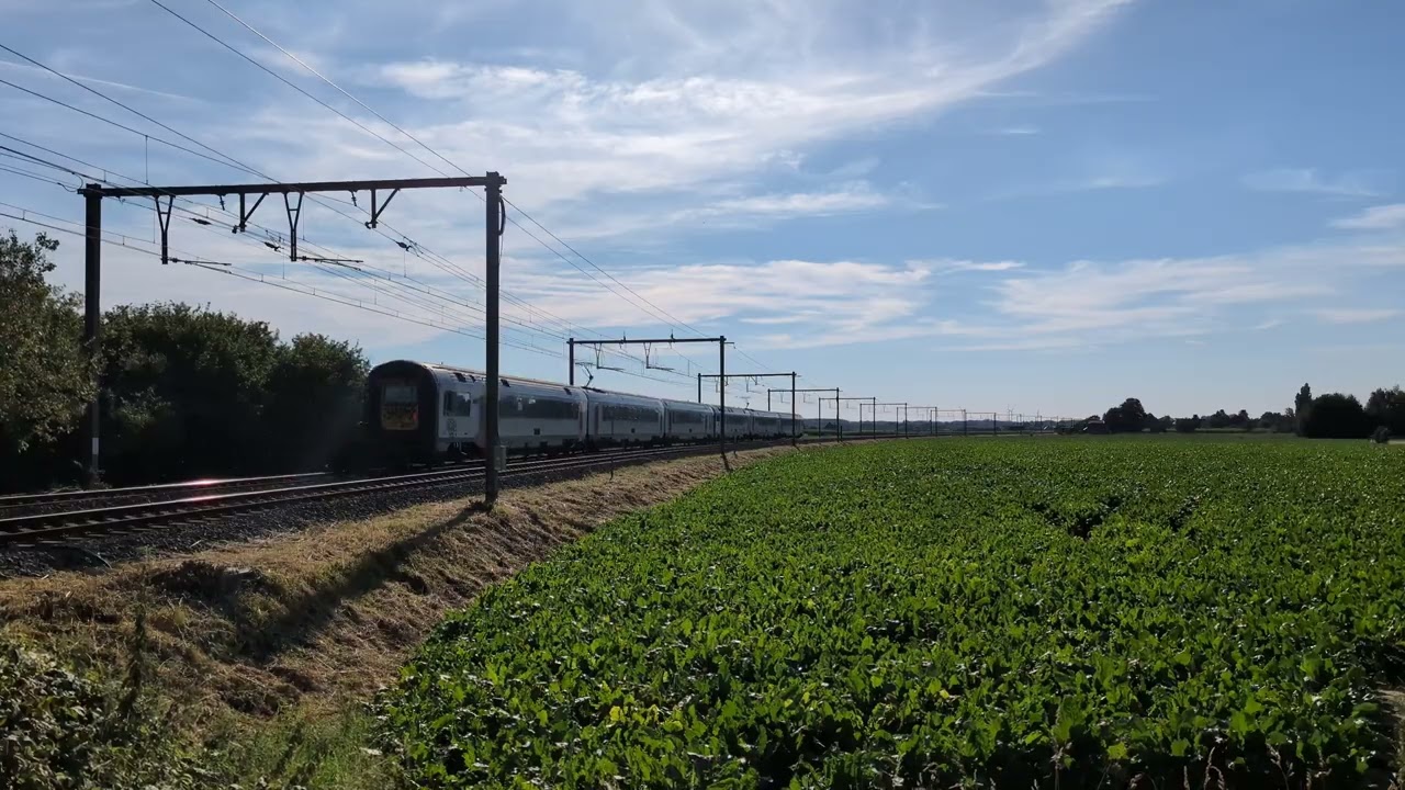 NMBS SNCB | DMT MR96 AM96 | Bombardier / Alstom | L96 | Doornik | 08/2024 | Brttrainz | BE |