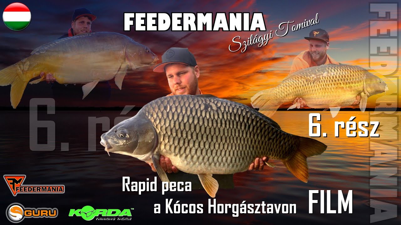 FEEDERMANIA Szilágyi Tomival 6. rész - Rapid peca a Kócos Horgásztavon