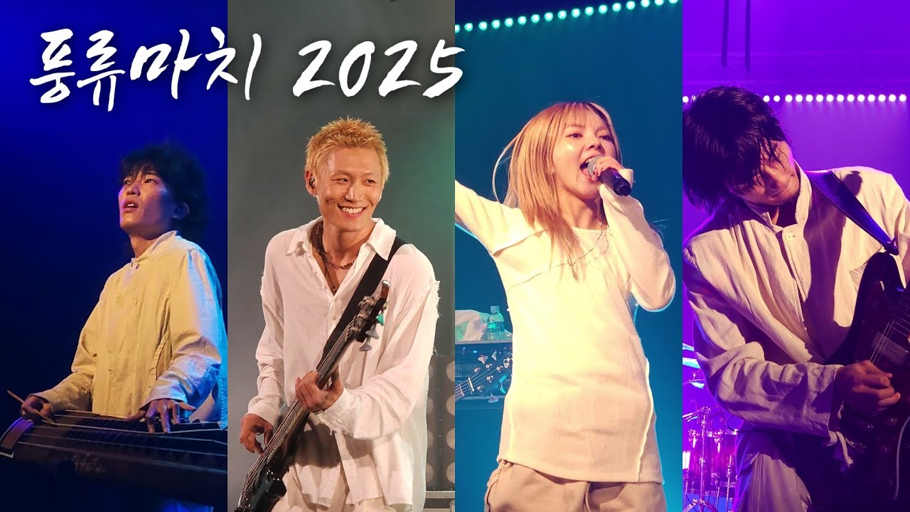 카디(KARDI) - 풍류마치 2025