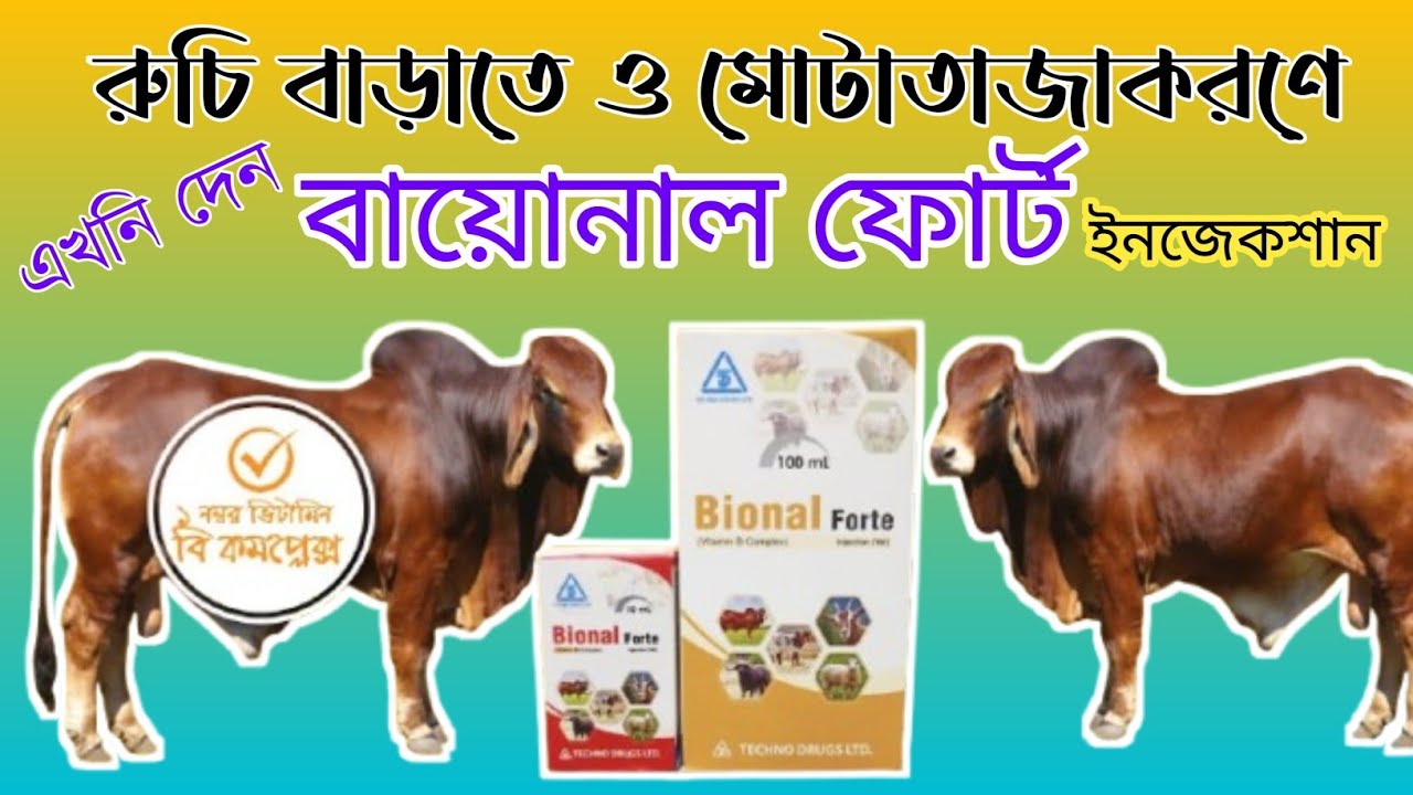 বায়োনাল ফোর্ট ইনজেকশন এর কাজ কি|Bional fort vet|mollahkrishitv|
