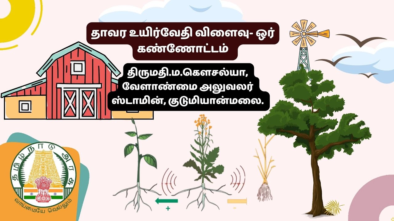 தாவர உயிர்வேதி விளைவு- ஒர் கண்ணோட்டம்  (Plant Interactions)