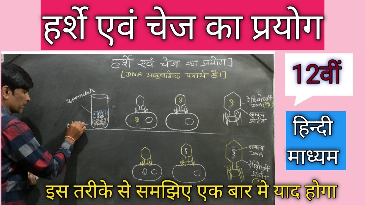 हर्शे एवं चेज का प्रयोग 12वीं । (Hershey and chase Experiment) पारक्रमण Transduction.