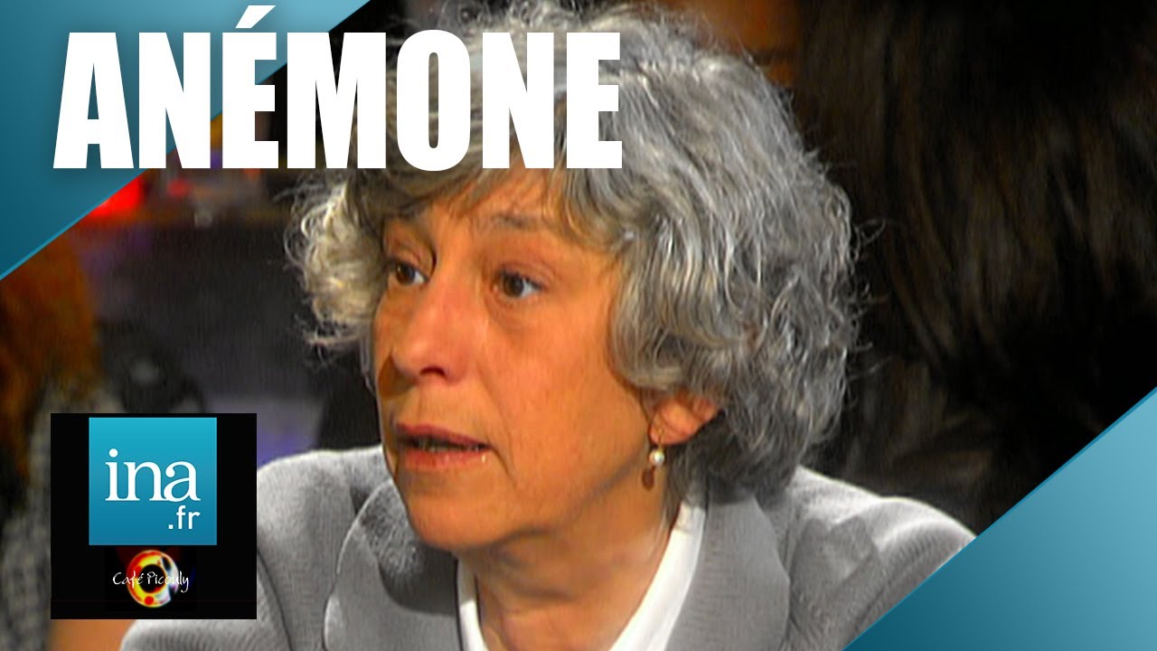 Anémone 
