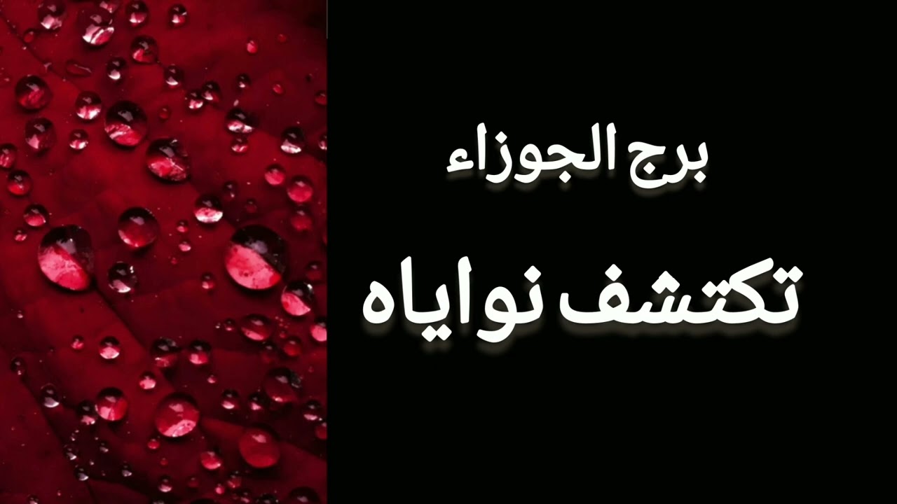 برج الجوزاء* اجوبتك تحدد طاقتك مع مسؤلينك/العشرة ايام الاخيرة يونيو2024
