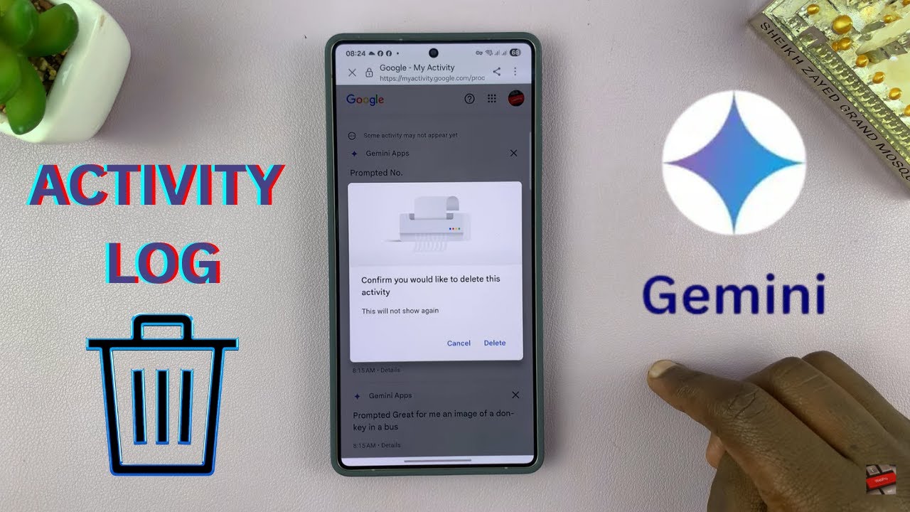 How To Delete Gemini Activity Log