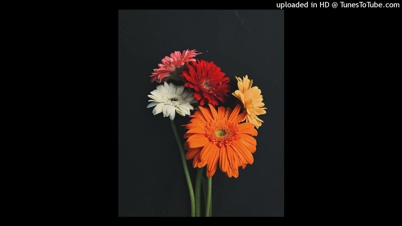 PXIN - gerbera ft. paoboix ( Prod. Beat BT )