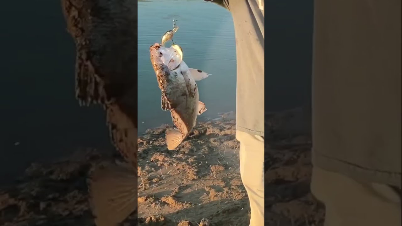 Gaspergou, Fishing Lake Travis with Bumpy Roads RV Life