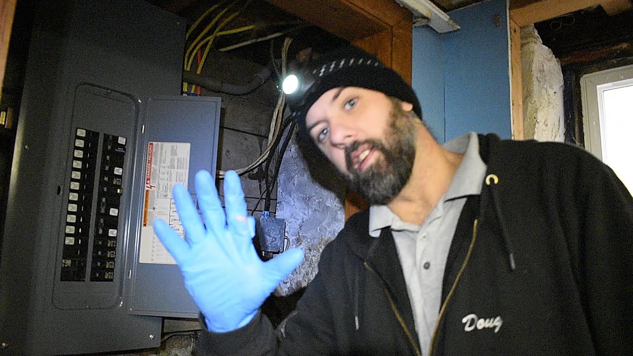 Doug The Bug Guy: Helpful Tips To Secure Your Home From Mice