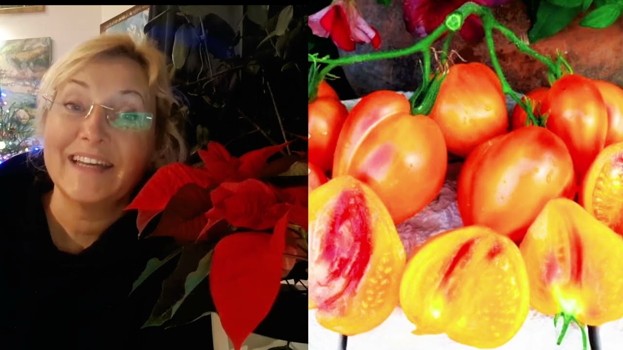 Какие томаты буду сажать в 2026!!!