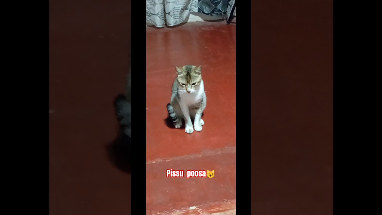 #cute