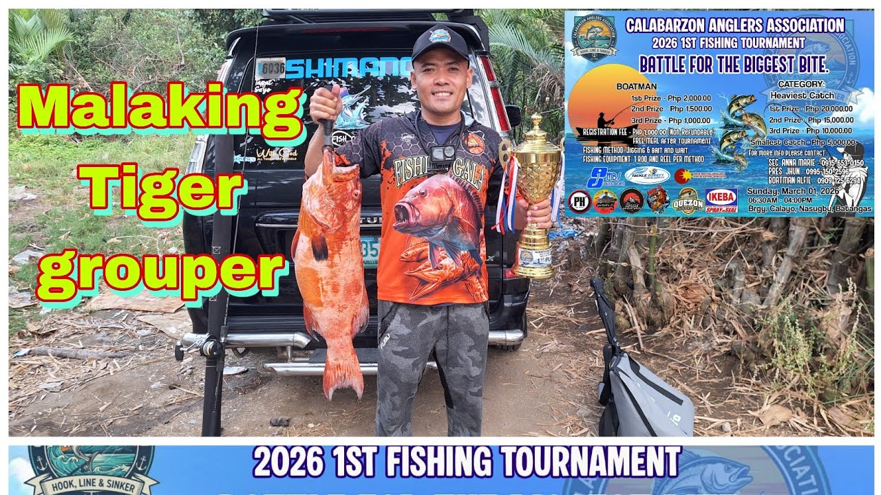 Grabe muntik na ma disqualified ang entry kong malaking tiger grouper🎣