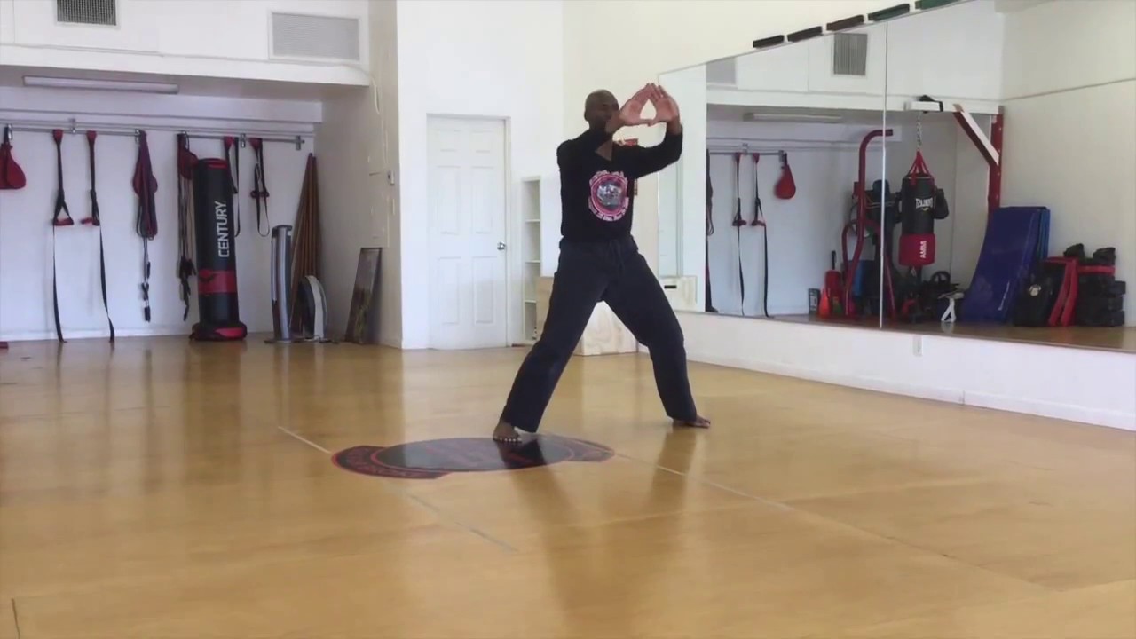 Martial Arts Mitose Kosho-Ryu Pinan 2